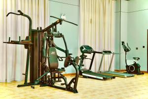 Karamay West Wuzhen Tancheng Hotel的健身中心和/或健身设施