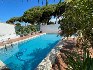 una piscina en una casa con una palmera en Azafama Buena, en Chiclana de la Frontera