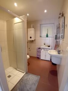 a bathroom with a shower and a toilet and a sink at Domek Łagów Lubuski in Łagów