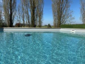 a pool of blue water with trees in the background at Loft Préaux in Villeneuve-sur-Fère