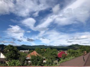 Billede fra billedgalleriet på Pensiunea Byblos i Piatra Neamţ