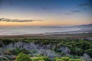 a train on a hill with a view of the ocean at Grootbos Private Nature Reserve in Gansbaai