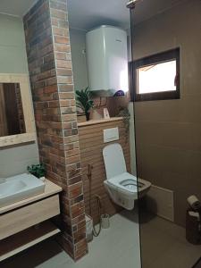 a bathroom with a toilet and a brick wall at Planinska kuća SAMAK in Sarajevo +27 photos