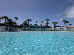 una gran piscina de agua con palmeras en el fondo en Oasis Jaylota, en Corralejo