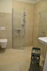 a bathroom with a shower and a toilet and a sink at Ferienwohnung Mühlenanger in Quedlinburg