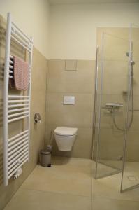 a bathroom with a toilet and a glass shower at Ferienwohnung Mühlenanger in Quedlinburg +61 photos