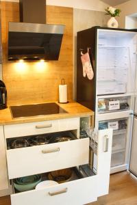 Kuchyň nebo kuchyňský kout v ubytování Relax Apartma
