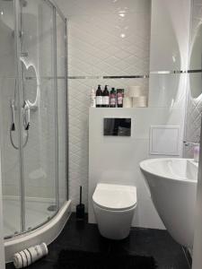 a bathroom with a shower and a toilet and a sink at Apartament Rodzinny - Classic Olszowa in Włocławek
