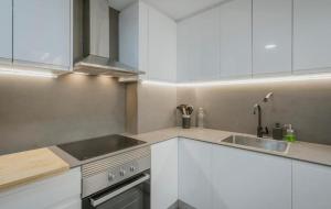 a kitchen with white cabinets and a sink at Centro Burgos Real Consulado 1787 in Burgos