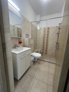 a bathroom with a toilet and a sink and a shower at Christale Rooms in Năvodari