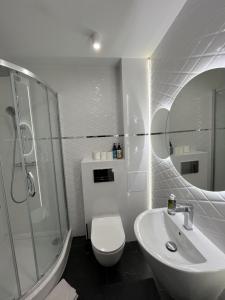 a bathroom with a sink and a toilet and a shower at Apartament Rodzinny - Classic Olszowa in Włocławek