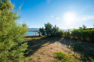 Gallery image of Terra Park SpiritoS Pitches in Kolan