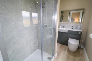 a bathroom with a shower and a toilet and a sink at Clarmes House in Limavady +24 photos