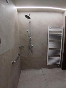 a bathroom with a shower with a shower head at Αρχοντικό in Méga Khoríon +69 photos