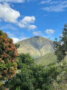a mountain in the distance with trees in the foreground at Slash homestay in Silimapuluh