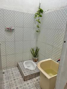 a bathroom with a toilet and a tub and a plant at Slash homestay in Silimapuluh