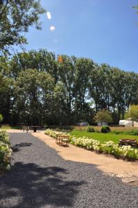 Un jardín fuera de Noortweghe GLAMPING