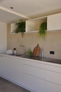 Una cocina o kitchenette en Noortweghe GLAMPING 26 fotos más