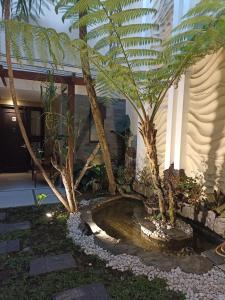 Zahrada ubytování Shinta Guesthouse