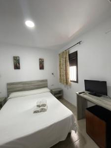 TV a/nebo společenská místnost v ubytování Hostal Malia