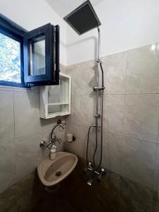 a bathroom with a shower and a sink at Bankya Guest House - Sofia in Bankya +26 photos