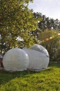 Un jardín fuera de Noortweghe GLAMPING