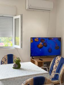 TV a/nebo společenská místnost v ubytování Apartman Milicevic