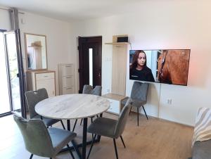 TV a/nebo společenská místnost v ubytování Apartments Valentina-B