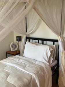 Gallery image of Spacious house in Arusha suburbs in Arusha