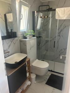 a bathroom with a shower and a toilet and a sink at Mobile home La Bella in Drage