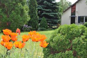 Vonkajšia záhrada v ubytovaní BE WELL 3-Rooms Apartment with Parking and Garden