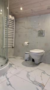 a white bathroom with a toilet and a shower at Świerkowa Chata in Bałtów