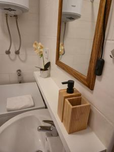 ein Badezimmer mit Waschbecken, Spiegel und Toilette in der Unterkunft Apartman Pasarela - mirna lokacija u centru in Bihać