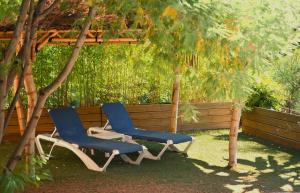 two chairs sitting under a tree in a yard at Les Jardins de Bormes, hôtel adult only avec sauna & jacuzzi in Bormes-les-Mimosas