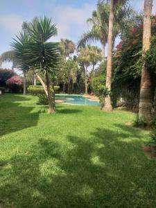 a lawn with palm trees and a swimming pool at Beau Duplex bay3 in Sidi Bouzid