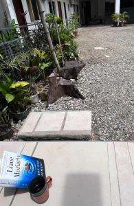 Gallery image of Jezette's Inn in Sipalay +6 photos