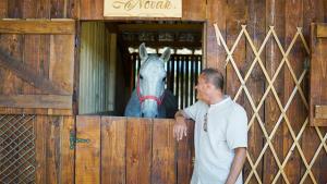 a man looking at a horse behind a wooden gate at Agropensiune Lupu 