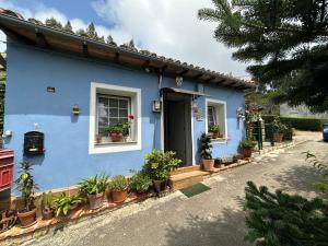 ein blaues Haus mit Topfpflanzen davor in der Unterkunft La Casuca del Calero in Oreña