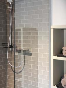 a shower with a shower head in a bathroom at Ferienwohnung 3, Schlaf-Gut-Johannis, Flensburg in Flensburg