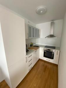 Η κουζίνα ή μικρή κουζίνα στο Neubau Wohnung Stadlau