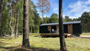 ジブヌフにあるRogaty Domek nad Bałtykiemの木々のある森の中の黒い木造の小屋