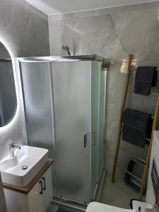 a bathroom with a shower and a sink at DOLCE VITA by DENTALUX 2 in Neoi Epivates