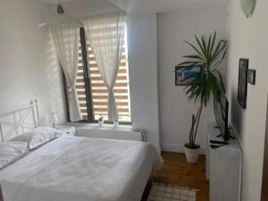 ブカレストにあるLovely Apartment in Villa in Bucharestの白いベッドと鉢植えの植物が備わるベッドルーム1室