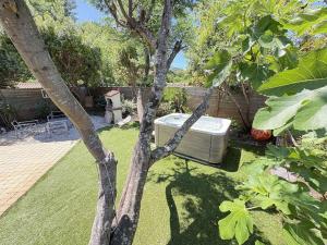 un albero con una vasca idromassaggio in un cortile di Maison de vacances climatisée avec JACUZZI proche du Lac - FR-1-831-12 a Biscarrosse Altre 13 foto