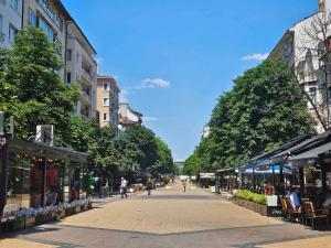 索非亚Simply The Best - Vitosha blvd的街上的人