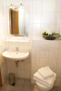 a bathroom with a sink and a toilet and a mirror at Hotel Haus Gertrud in Simmerath