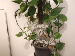 Ảnh trong thư viện ảnh của Central Kelkheim apartment near station ở Kelkheim +26 ảnh