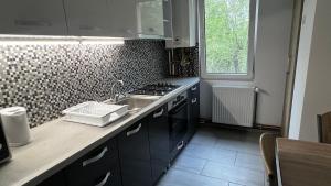 Kuchyň nebo kuchyňský kout v ubytování Astra Urban Leaf + 5 fotografií