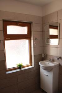 a bathroom with a sink and a window at Ижата 2 in Borovitsa +27 photos