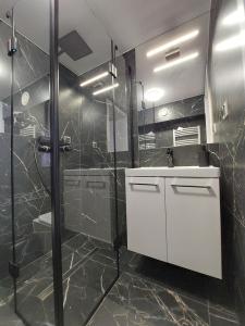 un bagno con doccia, lavandino e specchio di Apartament dwuosobowy A07 w Welle a Grzybowo